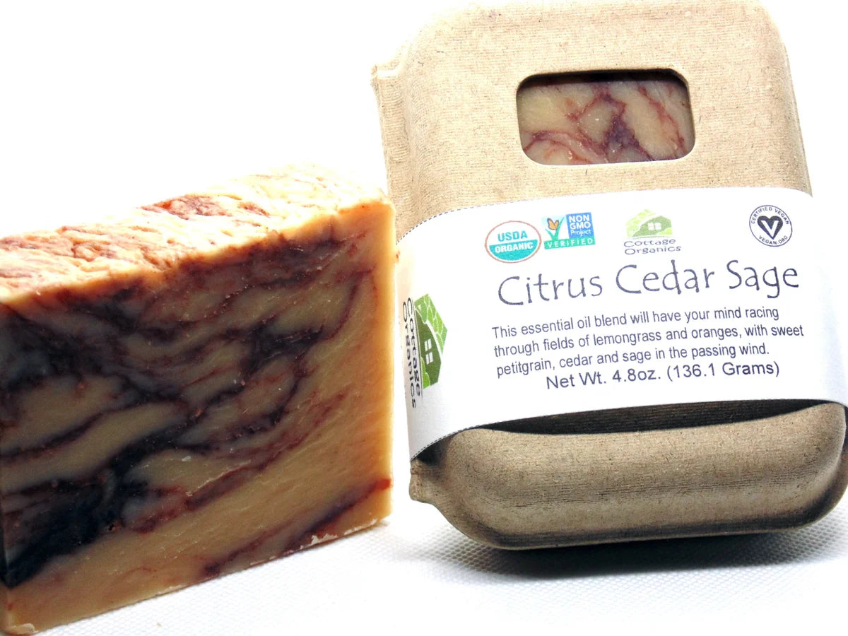 Citrus Cedar Sage Bar Soap, Natural Soap For Men, Cedar Citrus Mens  Natural Bar Soaps